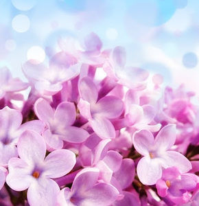 Meet your Posher, Zuhriah